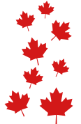 Maple Leaves